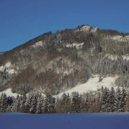 Schwarzachen Alm - Haus Daniel Сasa de vacaciones Ruhpolding