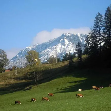 Сasa de vacaciones Schwarzachen Alm - Haus Daniel